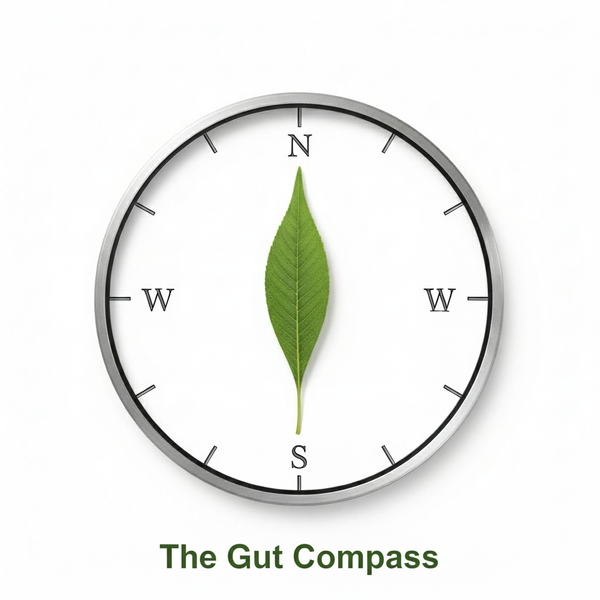 Ultimate Guide To Your Gut Health
